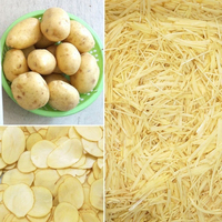 Industriële aardappel snijmachine voor diepvriesfabrieken, automatische groenteblokjes-, strookjes- en plakjes snijmachine