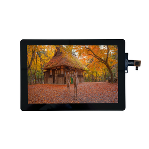 8インチ液晶ディスプレイ1920x1200TFTディスプレイLVDSインターフェースTFT液晶ディスプレイ画面容量性タッチ太陽光読み取り可能 - Product Image 4