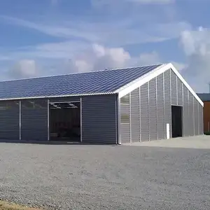 Estructura de acero Marco Almacén Diseño de construcción Estructura de acero Taller Almacén Cobertizo para granja avícola