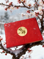 Scatola Regalo di Lusso Personalizzata in Velluto Rosso con Chiusura Magnetica, Ecologica in Cartone, Stampa UV/Offset, Schiuma Personalizzata