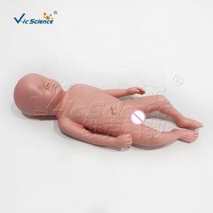 Modelo <span class=keywords><strong>de</strong></span> Bebé Flexible que Puede Pasar por la Pelvis para Demostración <span class=keywords><strong>de</strong></span> Parto en Obstetricia, Entrenamiento <span class=keywords><strong>de</strong></span> Enfermería - Product Image 4