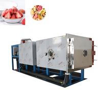 8Kg 10Kg Plantaardige Kleine Mini Vriesdroger Zwart Medium 4 Trays Vacuüm Vriesdroogmachine