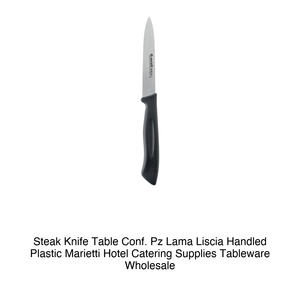 Marietti Steak/Dinner Knife, Pack of 2, Smooth Blade, Plastic Handle - Product Image 2
