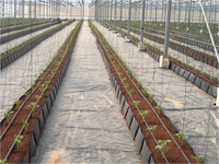Gouttière de culture agricole en plastique hydroponique Système de cuvette de plantation Rouleau de culture de fraises PP