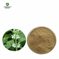 Extrait de Marrubium Vulgare et de Chardon pour les Remèdes Traditionnels à Base de Plantes Compléments Alimentaires Naturels et Produits Botaniques