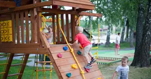 Alex's Joyland-Custom Outdoor Kinder Holz spielplatz Ausrüstung Schaukel Set Spielplatz Outdoor