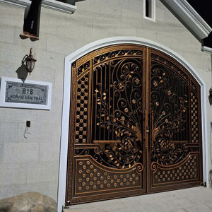 Puerta de hierro forjado con recubrimiento en polvo de lujo con soporte técnico profesional, forma de acero 50x80x4x10 - Product Image 2