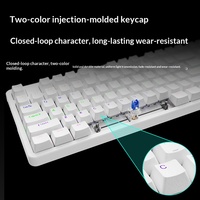 Clavier mécanique filaire pour jeux Rapoo V500PRO 87 touches TKL, touches PBT, anti-ghosting, RGB, aluminium pour PC portable