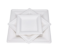 Assiette carrée jetable biodégradable en pulpe de bagasse de canne à sucre de qualité alimentaire pour servir pain, biscuits, sucre - pour sandwichs