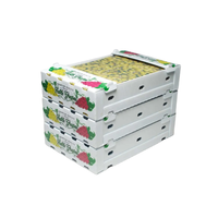 Boîtes d'emballage pour légumes frais, boîtes en plastique ondulé PP, boîte à okra, boîtes d'expédition blanches à vendre