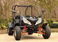 2020 EGS pas cher 125cc/800cc buggy/dune buggy/buggy 4x4 pour adultes passer le certificat CE chaud en vente