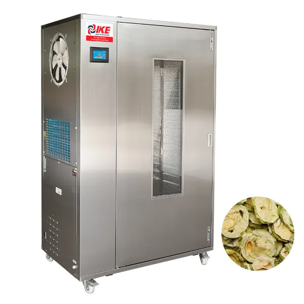 Professional Cabinet Type Food Dryer for Drying Bitter Gourd and Broccoli