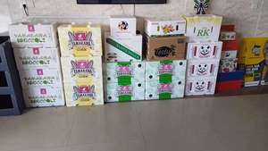 Boîte de conservation de <span class=keywords><strong>transport</strong></span> de <span class=keywords><strong>banane</strong></span> en bambou en plastique PP recyclable avec planche à découper en feuille pour l'alimentation de graines d'oeufs de légumes de viande - Product Image 2