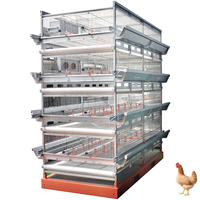 H Type Chicken Cages, Egg Layer, Quail Cages for Sale