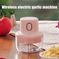 Mini hachoir à viande électrique sans fil Usb automatique portable sans fil broyeur d'ail pour la cuisine domestique