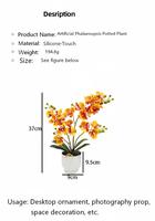 Plante artificielle Phalaenopsis en pot, orchidée au toucher silicone, fleur verte, bonsaï écologique, longue durée de vie, pour salon et bureau