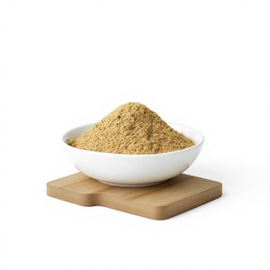 Best Offer Wholesale Price ISO Standard Premium Quality Ginger Powder Bulk Supply - Product Image 1