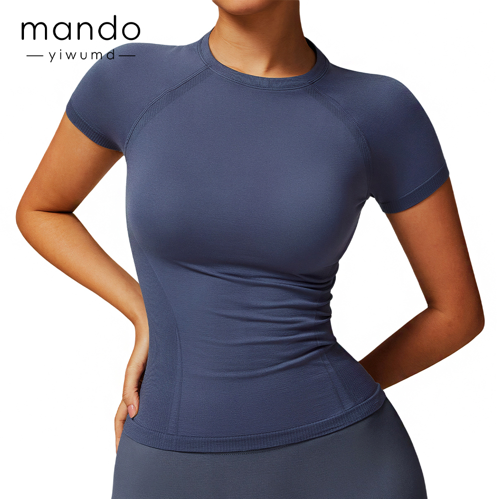 Women's Summer Lightweight Thin Nylon Stretch Quick Dry Breathable Round Neck Short Sleeve T-Shirt Fitness Sports T-Shirts Top