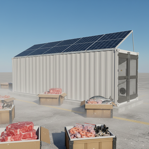Chambre froide mobile conteneurisée à <span class=keywords><strong>prix</strong></span> <span class=keywords><strong>de</strong></span> gros pour la viande, les fruits et les légumes - Product Image 2