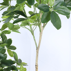 Venta al por mayor PE PVC plantas artificiales decorativas Schefflera <span class=keywords><strong>arboricola</strong></span> árboles para la decoración interior y exterior - Product Image 3