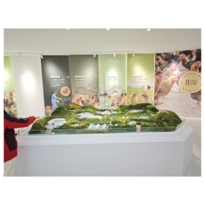 Modelo de Granja Ecológica con Mesa de Arena, Maqueta Agrícola, Cría de Pollos al Aire Libre, Diorama para Exposiciones Agrícolas - Product Image 1