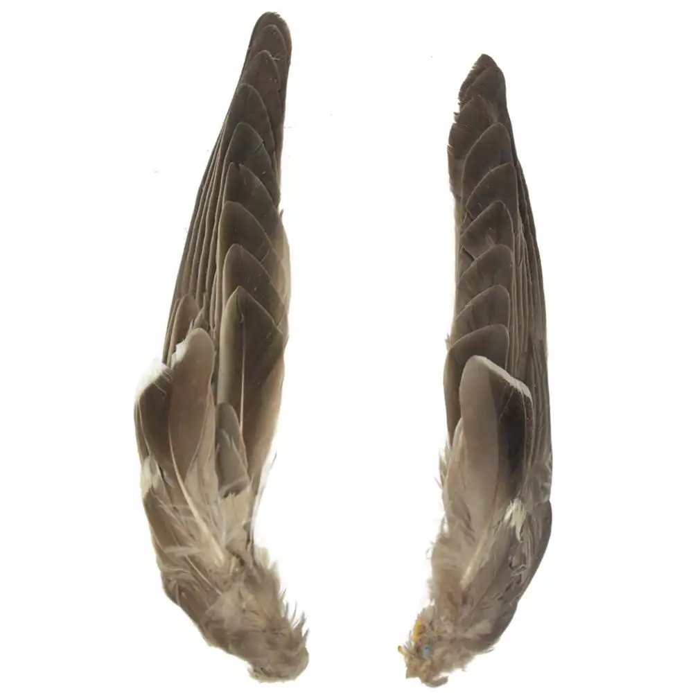 Cor tingida por atacado ecológica natural 4-6 Polegadas Penas de asas de pato mallard branco para venda