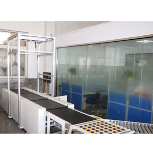 Depolar İçin Altı Taraflı Kutu Sıralama Paketleme Sistemi Dws Lojistik Makine Sıralayıcısı Dinamik Dws Konveyör Sistemi - Product Image 5