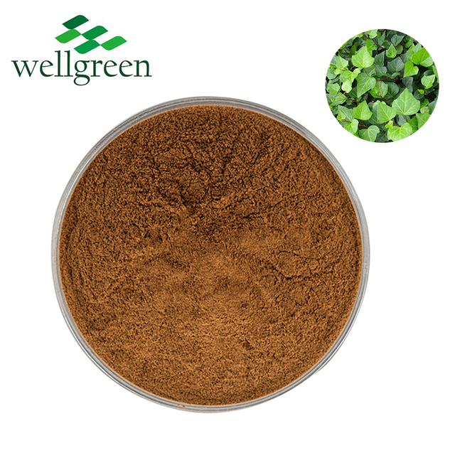 Chinese Herb Dried Leaf Hedera Helix Gourd Plant Powder Dry Liquid Water Soluble Hederin Ivy Leaves Extract