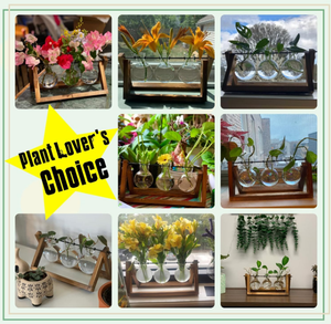 <span class=keywords><strong>Terrarium</strong></span> en verre <span class=keywords><strong>pour</strong></span> plantes de bureau - Vase à 3 bulbes avec support en bois massif rétro et support pivotant en métal - Product Image 5