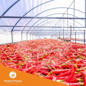 Film de serre industrielle pour le séchage des produits agricoles avec une transmission de la lumière élevée et une résistance aux UV à long terme - Product Image 1