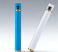 Briquet Classique Doré Argenté Fin Rechargeable Portable avec Logo Personnalisé Production en Gros Fabriqué à Guangdong Chine