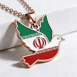 สร้อยคอเหล็กกล้าไร้สนิม 316L กันน้ำ ลายพิราบแห่งสันติภาพ รุ่น 2026 ชุบทอง 14k 18k PVD ลายแผนที่อิหร่าน สำหรับผู้หญิง - Product Image 6