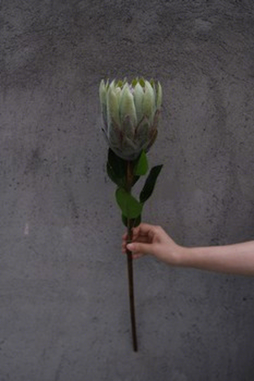 Green imperial flower
