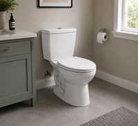 Ensemble WC sur pied deux pièces avec revêtements et glaçures antibactériens, idéal pour les salles de bain et les hôtels