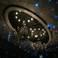 Panneau acoustique de plafond en Fiber de Polyester, 1 pièce, lumière scintillante, ciel étoilé, pour Home cinéma, animaux domestiques