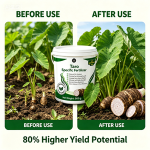 Engrais Spécifique pour <span class=keywords><strong>Taro</strong></span> 500g NPK 18-8-20 Accélère la Croissance des Racines et des Feuilles, Agrandit les Cormes, Améliore la Texture, Augmente de 80% <span class=keywords><strong>le</strong></span> Rendement en Terres Ouvertes - Product Image 2