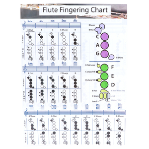 Diagrama de <span class=keywords><strong>acordes</strong></span> <span class=keywords><strong>para</strong></span> <span class=keywords><strong>flauta</strong></span>, práctica <span class=keywords><strong>para</strong></span> principiantes, material didáctico y accesorios <span class=keywords><strong>para</strong></span> instrumentos S (28x21cm) - Product Image 4
