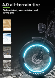 Vélos <span class=keywords><strong>électrique</strong></span>s : Modèles à suspension, à moteur, à charge rapide, de type chaise, pour la ville et l'aventure, style chinois - Product Image 3