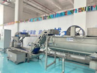 Aanpasbare machine voor het wassen, sorteren en luchtdrogen van kersen, aardbeien, bosbessen, aardappelen, wortelen, appels, mango's en avocado's, CE-gecertificeerd