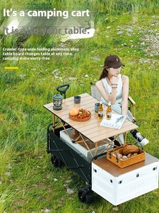 Petite voiture <span class=keywords><strong>de</strong></span> pêche portable pliable coulissante pour bébé pour <span class=keywords><strong>la</strong></span> maison Nouvelle roue large pour le <span class=keywords><strong>camping</strong></span> en plein air Stall Express OEM Support personnalisé - Product Image 6