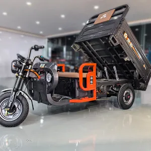Triciclo de carga de 1500W, triciclo eléctrico de alta potencia para uso agrícola, triciclo eléctrico