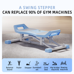 Biểu Tượng Tùy Chỉnh Sử Dụng Nhà Eo Twister Tập Thể Dục Máy Đứng Bụng Tập Thể Dục Hội Đồng Quản Trị Cho Trọng Lượng Giảm Cân - Product Image 3