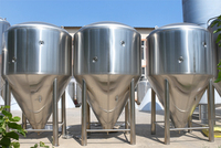 Équipement de brassage de bière, usine de fermentation de bière 500l