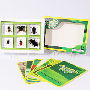Venta al por mayor de fábrica, resina, diferentes especímenes de insectos reales, Kit todo en uno, juguetes educativos para niños, aprendizaje en el hogar - Product Image 1