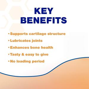 Suplemento de Salud para Perros de Marca Privada OEM/ODM - Suplementos y Vitaminas para las Articulaciones de Perros - Cuidado Articular Extendido - Product Image 4