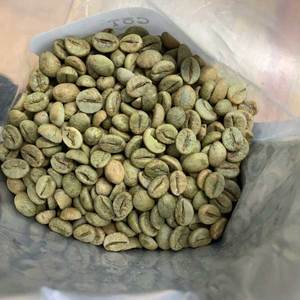 กาแฟโรบัสต้าออร์แกนิกเมล็ดเต็ม - Product Image 1