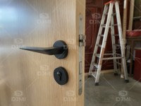 Iberian desain Modern perumahan rumah Interior ruangan kayu lapis kayu Veneer cat campuran Internal pintu kayu untuk rumah