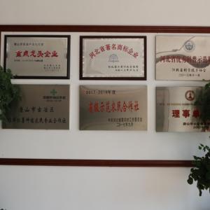 Chips de Batata Dulces y Ácidos con Sabor a Ciruela, Ideales para Reuniones Familiares y Descansos en la Oficina - Product Image 6