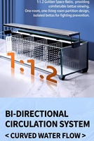 Aquarium en verre JSD multi-compartiments pour poissons Betta, 7,87 x 19,69 pouces, avec filtre arrière et pompe à lumière ponctuelle