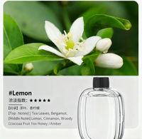 Diffuseur d'huiles essentielles intelligent pour la maison, nouveau style, avec fonction d'élimination des odeurs et de parfum d'ambiance.